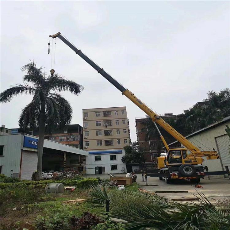 琼中汽车吊出租多少钱？全面解析与市场行情